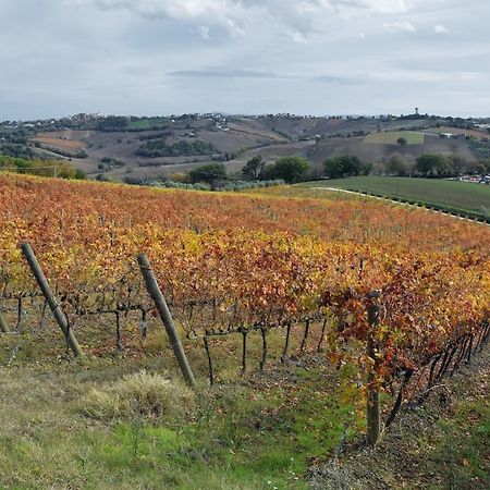 Agriturismo Al Rifugio Divino Belvedere Ostrense Kültér fotó