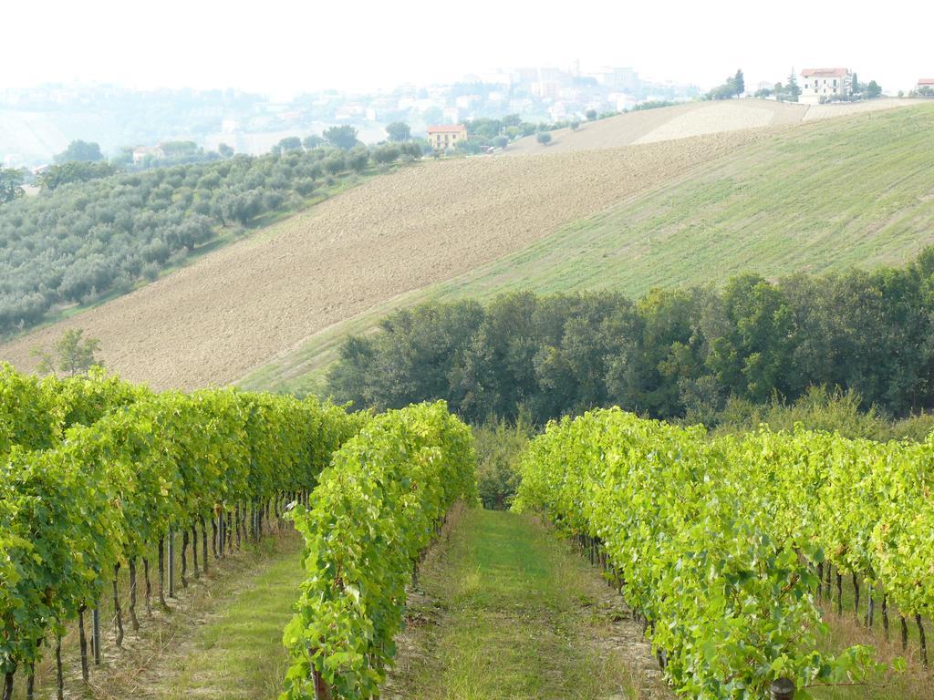 Agriturismo Al Rifugio Divino Belvedere Ostrense Kültér fotó